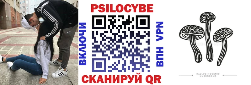 Галлюциногенные грибы Psilocybine cubensis  кракен ссылки  Вяземский 