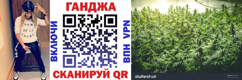mega как войти  Вяземский  Канабис сатива  закладки 